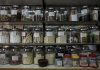 UM define padrões internacionais de qualidade para a medicina tradicional chinesa