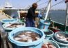 Japão lamenta decisão russa de suspender acordo de pesca
