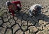 China alerta para “séria ameaça” que calor e seca representam para a segurança alimentar
