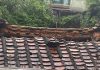 Telhas de edifício histórico no bairro de São Lázaro desabam