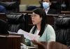 Ella Lei pede concretização de apoios a desempregados de longa duração
