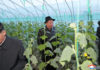 Coreia do Norte agenda reunião política urgente para melhorar sector agrícola