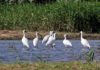 Abertas inscrições para as actividades ecológicas de Fevereiro da DSPA