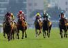 Proprietários de cavalos pedem intervenção do Governo na indemnização com a Jockey Club