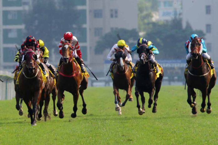 2. jockey club
