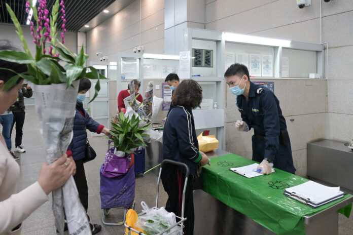 6. plantas