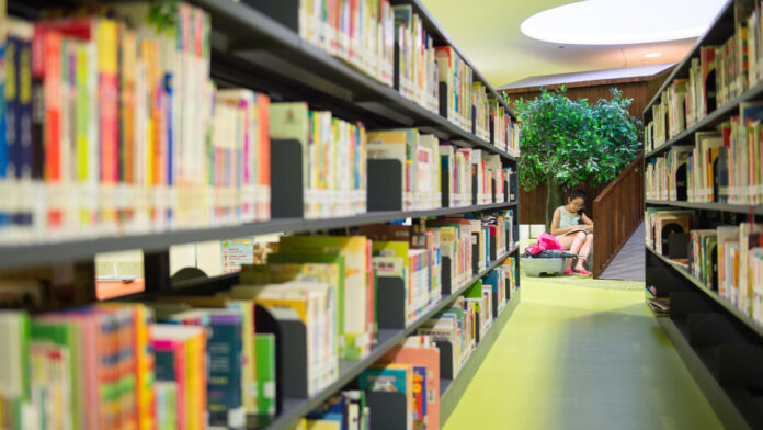 2. Bibliotecas públicas