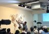 Ambientalistas defendem alternativa que pode evitar aterro para ilha ecológica