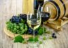 Alentejano vê oportunidade na pandemia e lança negócio de vinhos em Xangai