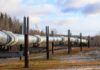 Vinte ONG pedem à China que retire apoio ao macro-pipeline Uganda-Tanzânia