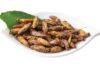 Dezasseis insectos aprovados como alimento em Singapura