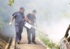 Serviços de Saúde alertam para elevado risco de disseminação da febre de dengue