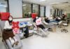 Quase 13 mil pessoas doaram sangue no ano passado