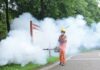 China aplica medidas de combate ao surto do vírus chikungunya após milhares de infecções