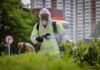 Hong Kong regista primeira morte devido a febre chikungunya