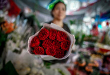 O cravo vermelho em Macau: símbolo de liberdade para uns, ignorado por outros