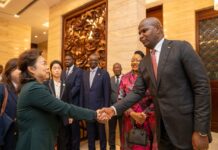 Moçambique quer empresários chineses a investirem na industrialização