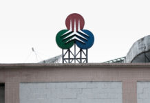 TDM fecha contas de 2025 com lucros graças ao reforço do subsídio do Governo